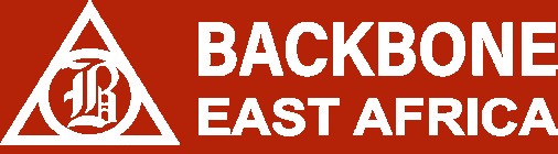 Backbone Tanzania Ltd logo