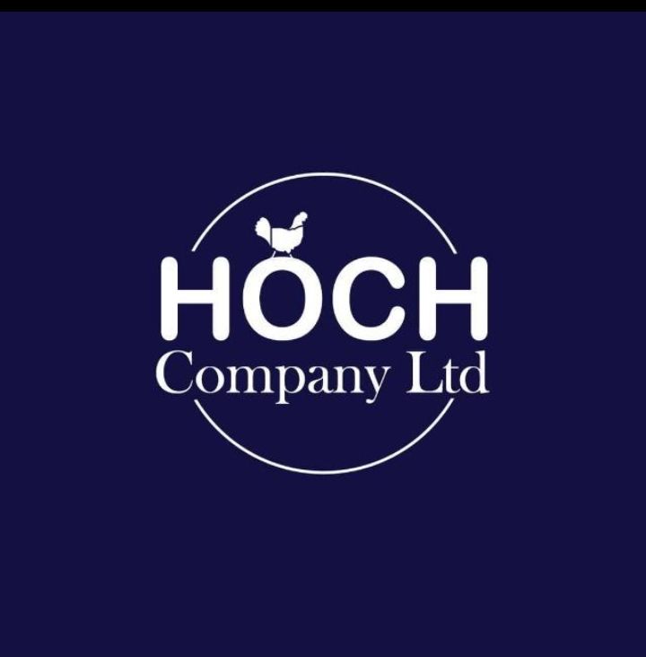 Hochi Limited logo