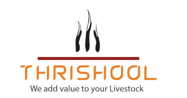 Thrishool Exim logo